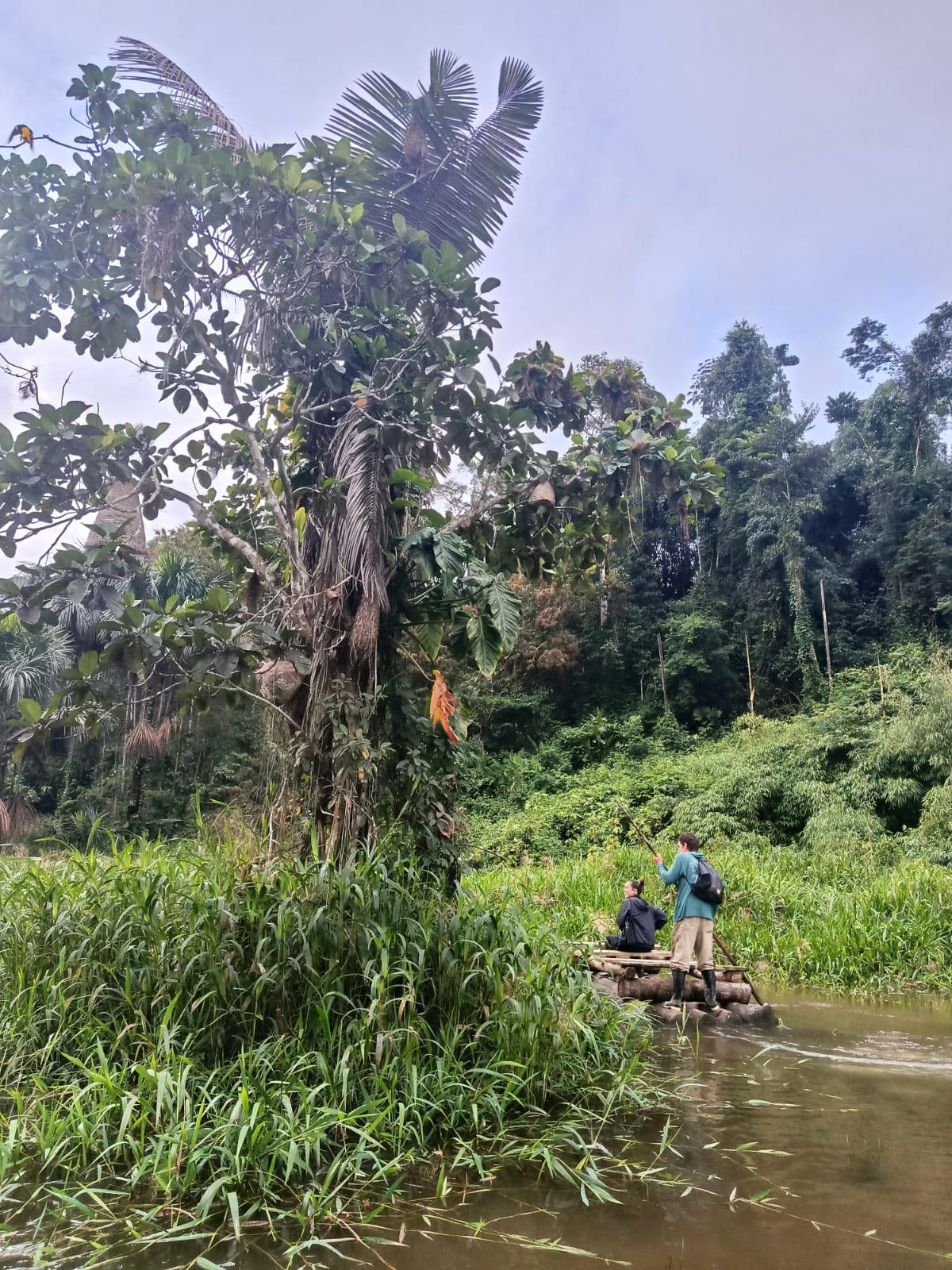 manu adventure peru 14