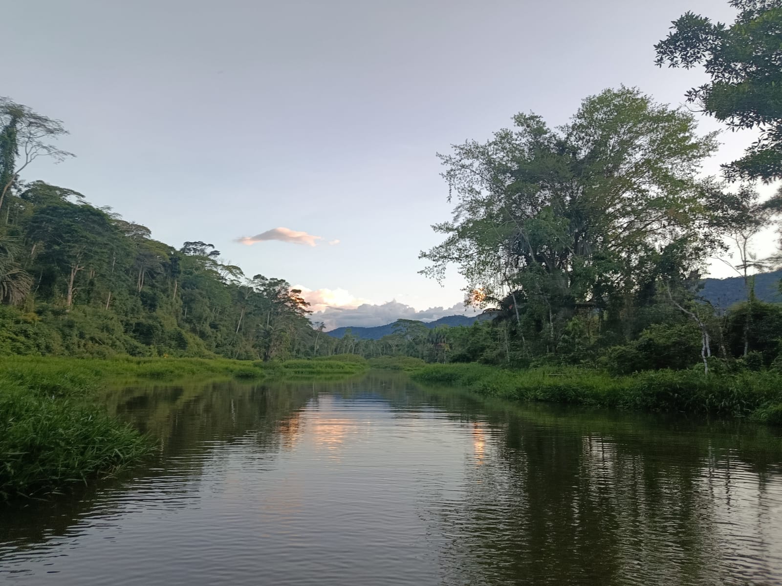 manu adventure peru 2