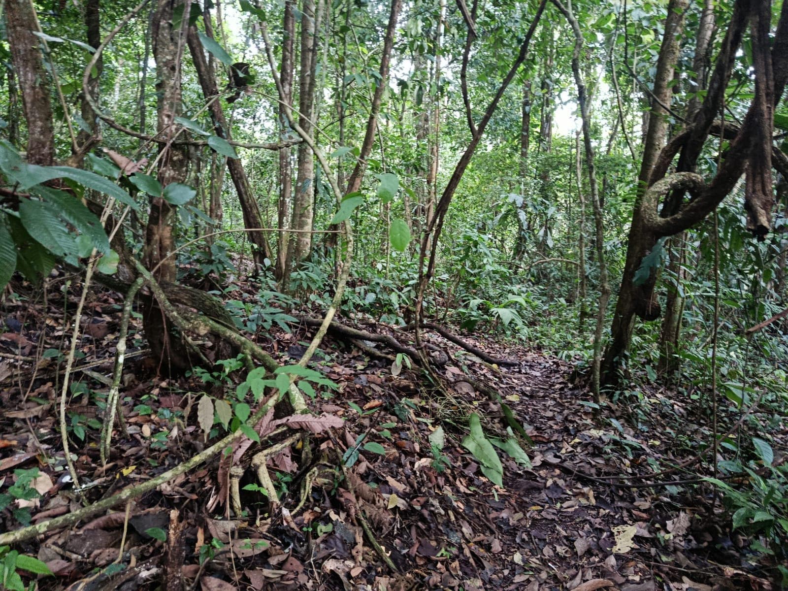 manu adventure peru 3