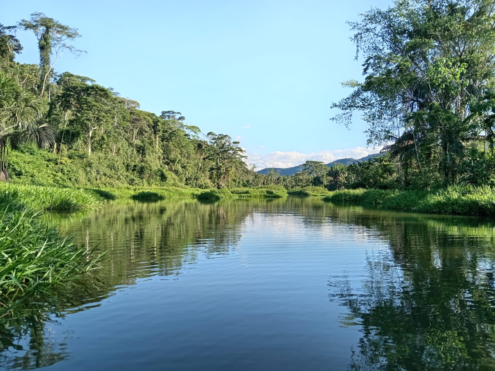 manu adventure peru 4
