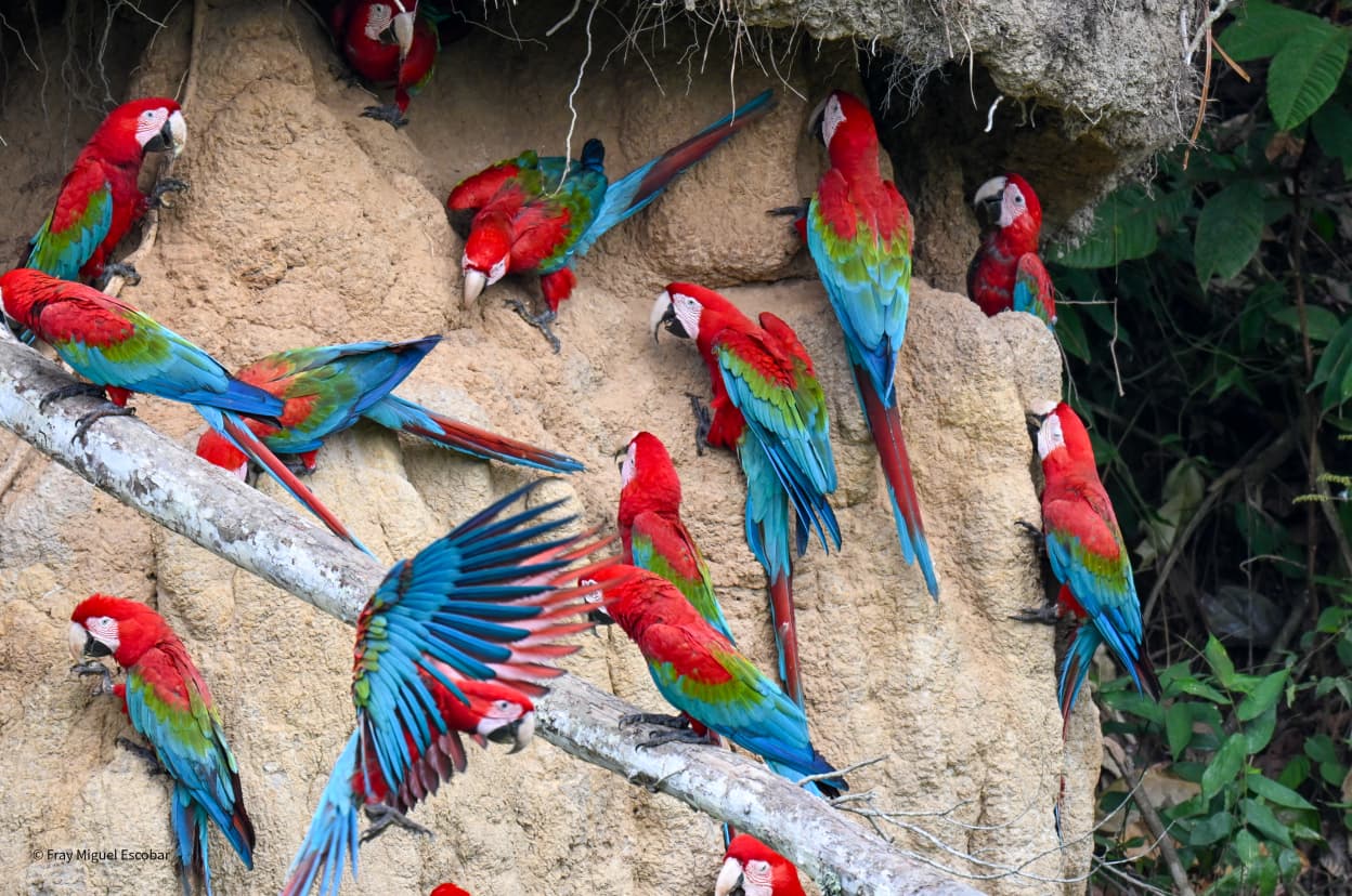 Manu Zona Reservada & Blanquillo 6D/5N